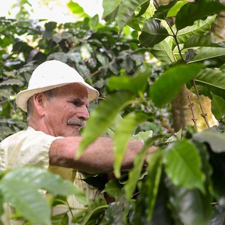San Ramón Batsu Ecolodge & Coffee Farm מראה חיצוני תמונה