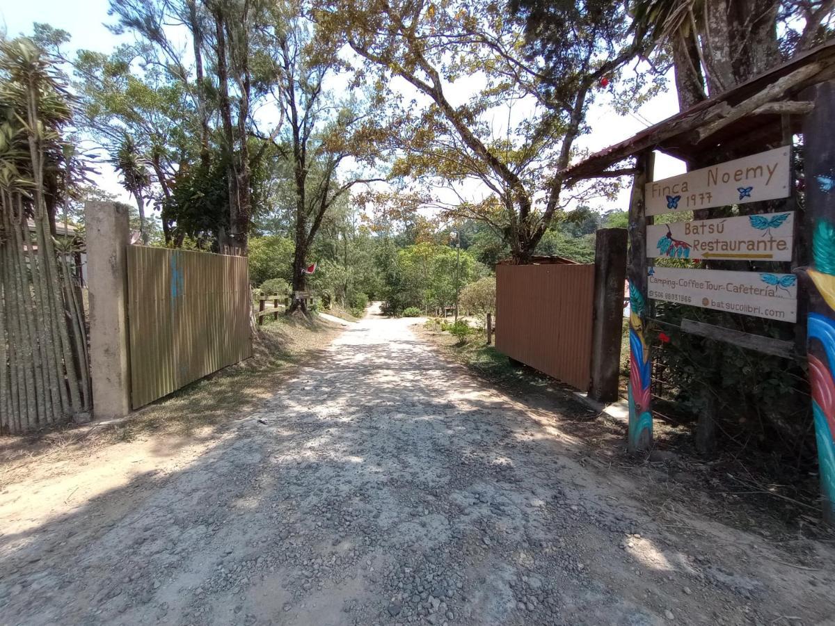 San Ramón Batsu Ecolodge & Coffee Farm מראה חיצוני תמונה