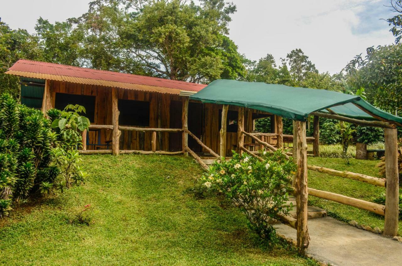 San Ramón Batsu Ecolodge & Coffee Farm מראה חיצוני תמונה