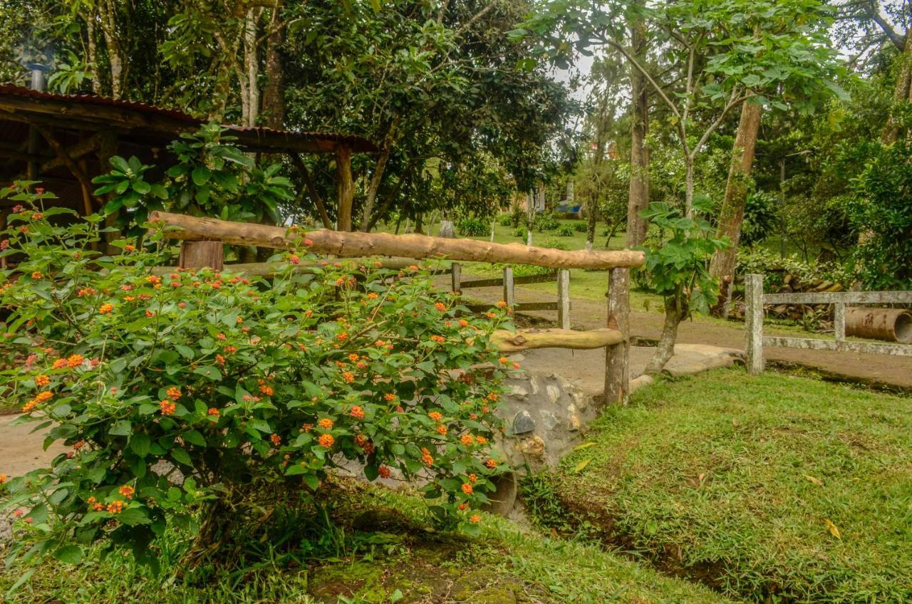 San Ramón Batsu Ecolodge & Coffee Farm מראה חיצוני תמונה